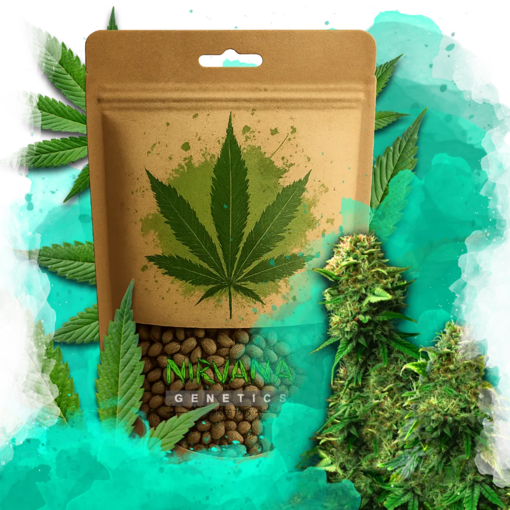 Bruce Banner Feminized 100 Seeds