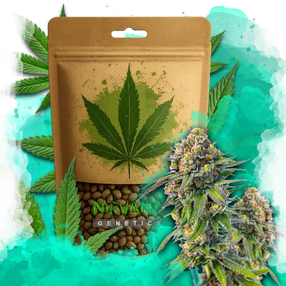Zkittlez Feminized 100xSeeds